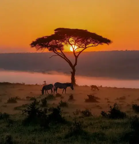 Kenya