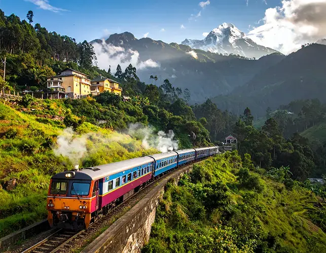 Assam (3N+2D) Family Package